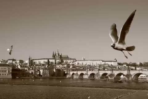 Praha sépiová